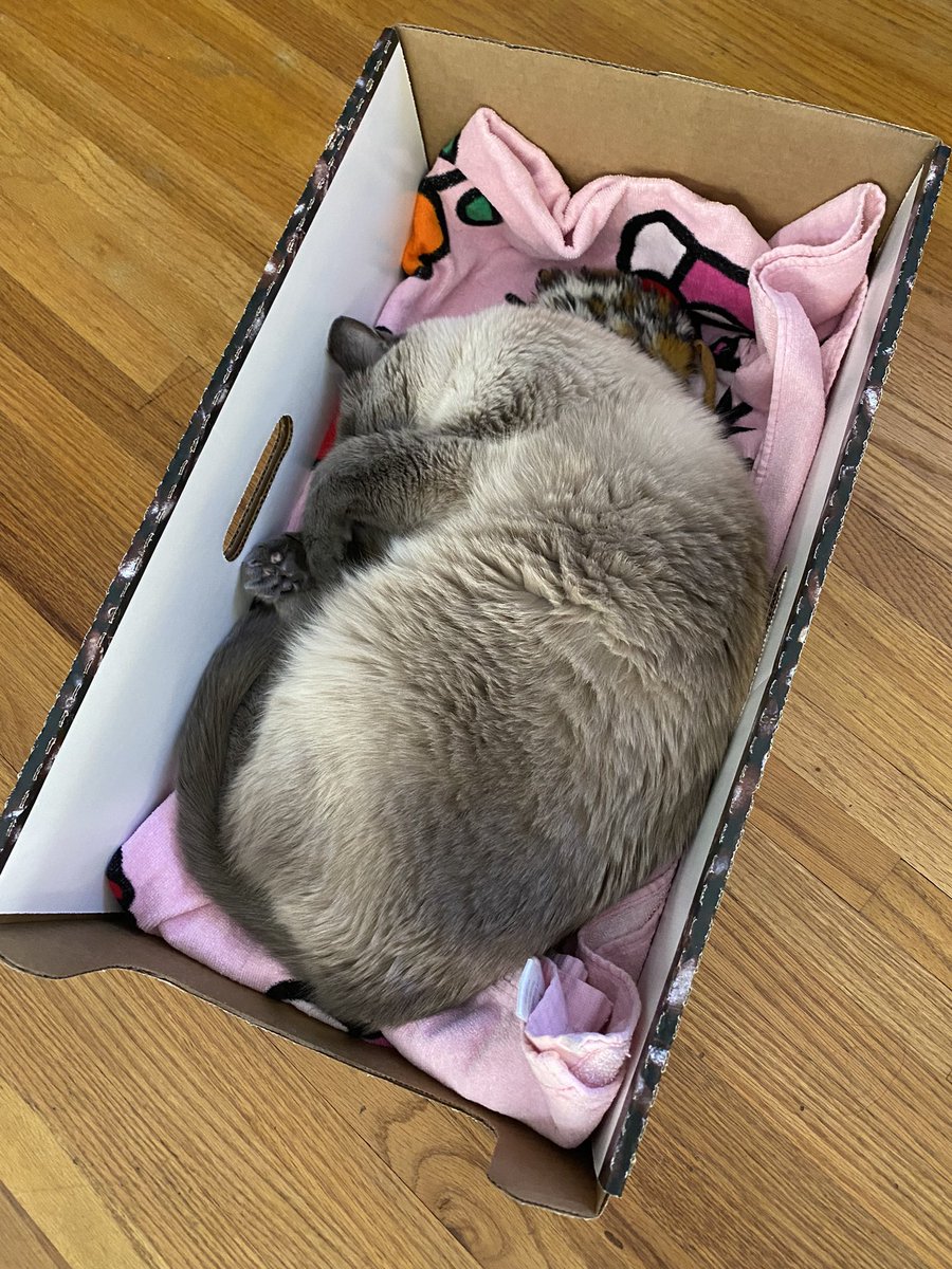 LisaB720 tweet media