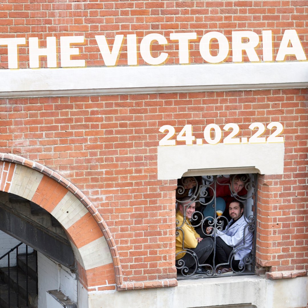 Still Pigeon tweet media