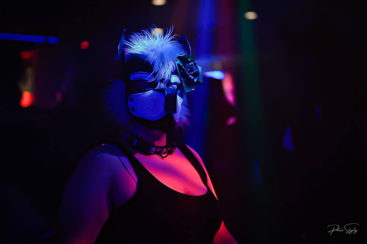 KinoGrace's tweet photo. @pheno_skyrty  so kindly gifted these photos to me, he caught me ✨living✨ and those few hours were so blissful, he really captured the moments i needed to re-live ♥️ #puphood #petplay #furryfandom #furryrave https://t.co/Diknb7K0xC