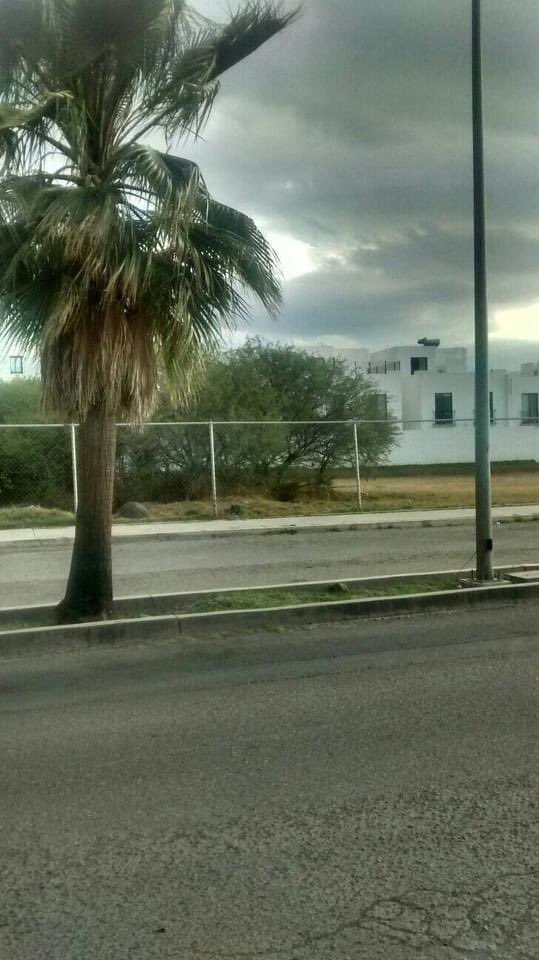JimmyRZM's tweet photo. ATENCIÓN 🚨🚨 Hay un sujeto que dispara desde el Fracc. Torre de Piedra (El Salitre) hacia la calle Palma Datilera (Colegio Tepeyac). Y ya dañó la puerta del colegio y autos. No esperemos a una tragedia. Ayuda @DenunciaEnQro https://t.co/tUTOVQLEw2