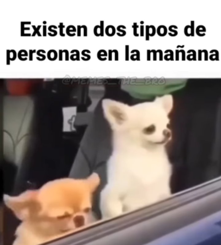 #SeAcaboElPuenteY cual soy , cual soy <a href="/Guirnalda18/">🦋👑 Princesa bendecida 👑🦋</a> <a href="/YODEBUENAS/">Miguel Barrientos Mx</a> <a href="/YoAmoLa99/">AmoLa99 💙🎶📻 #YoAmoLa99</a>