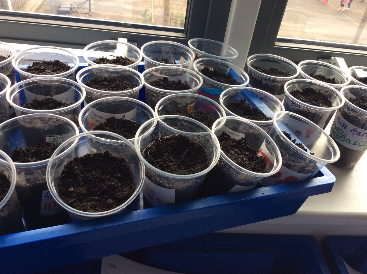 ChilternY6's tweet photo. As part of Children’s Mental Health Week, one of our activities is gardening. We planted a variety of seeds today and now we’re hoping our sunny windowsill will help these grow 🌱☀️🥰
@ChilternSch 
#makinglearningirresistible
#ChildrensMentalHealthWeek https://t.co/Ja1VbTBrq1