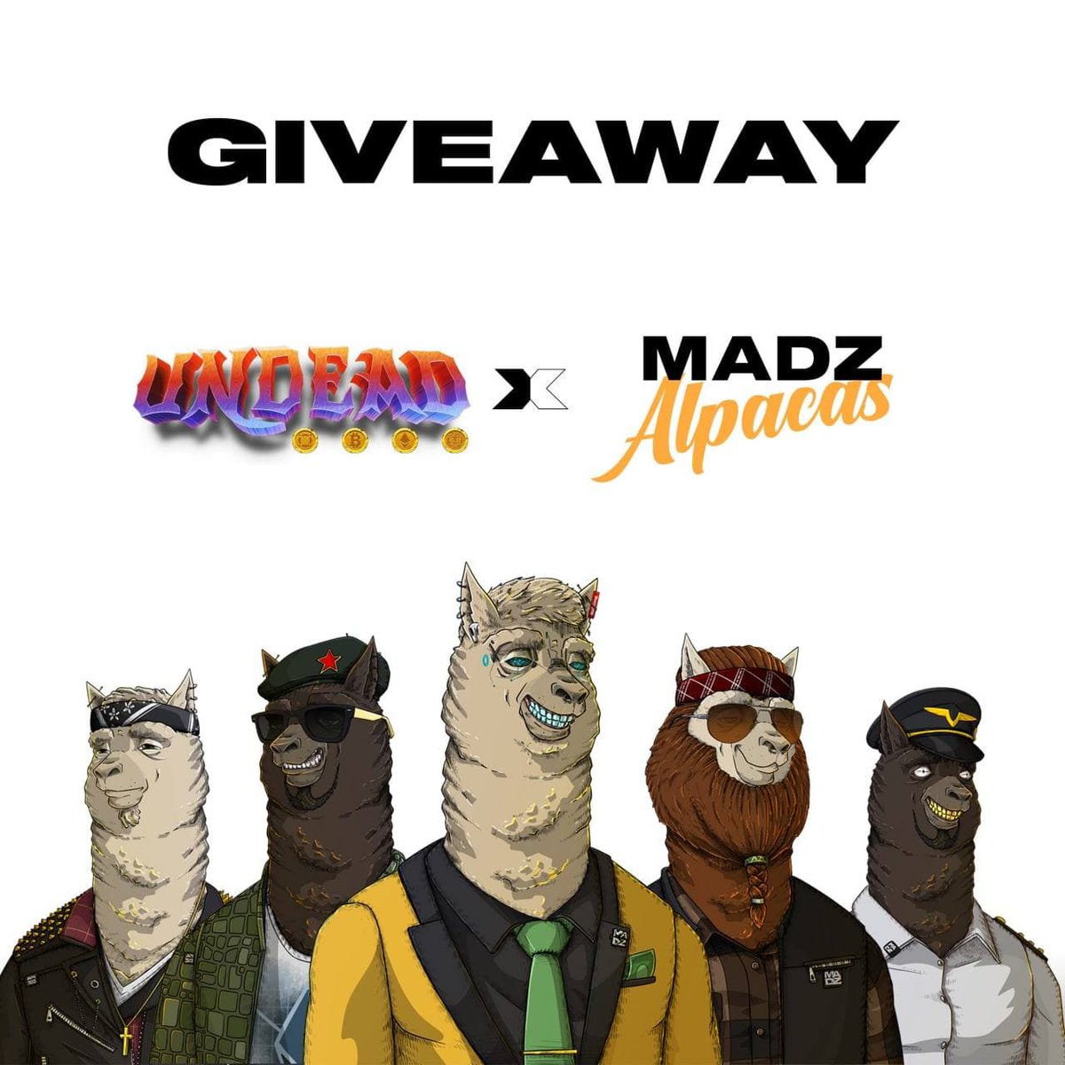 undead_gold's tweet photo. Watch out #UndeadArmy!
To celebrate our new partnership, @MadzStudios are giving us 10 MADZ Alpacas NFT FREE MINT SPOTS + 10 WL SPOTS! To be eligible to win, you must:

Follow @MadzStudios + @undead_gold + Tag a friend

Join their Discord:
https://t.co/59Yp7e3I7a https://t.co/9i0Gsn2GPe
