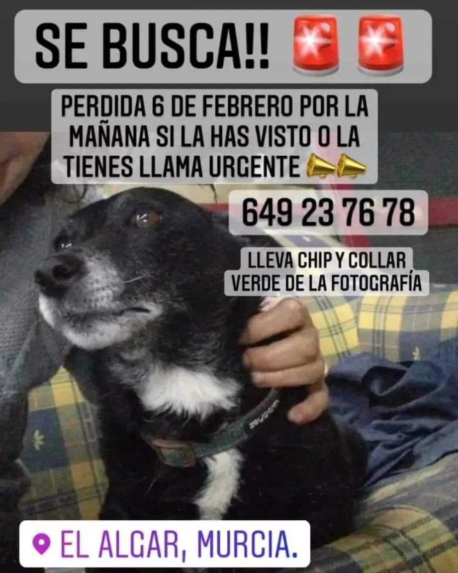 silvia mensegar (@silviamylo) on Twitter photo 