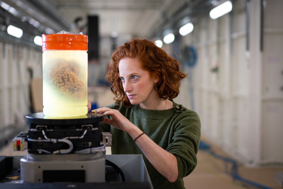 esrfsynchrotron's tweet photo. 👏👏Huge congratulations to @Claire_L_Walsh @ucl @uclmecheng winner of the ESRF Young Scientist Award at the Users’ Meeting 2022. @ESRF_UserOrg 
#UM2022

Watch the video to know more about her research. #bioimaging 
Team @hip_ct funded by @cziscience 

▶️ https://t.co/80SSGVRUI5 https://t.co/y7CNMdVhL3