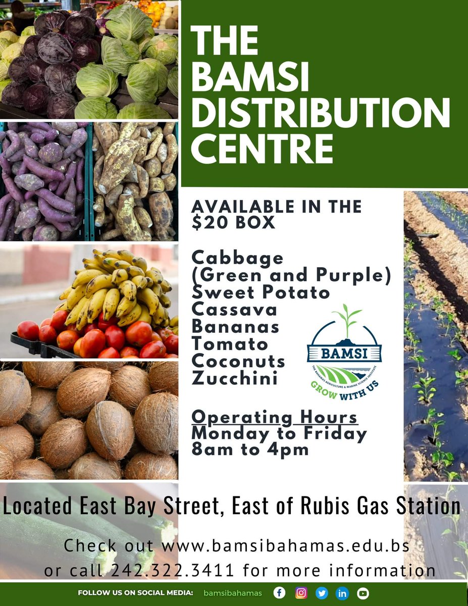 Jayceofspades_'s tweet photo. Let's get a thread going of more affordable places to get groceries in the country please.

I'll start for Nassau: @BamsiB. Contents of the box subject to change weekly (call 242-322-3411). https://t.co/IOFnp0QS2W