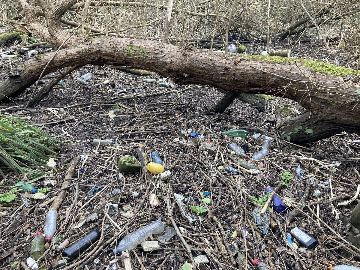 TonyJuniper's tweet image. Thanks @ben_watt @CanalRiverTrust &amp;amp; @NEThamesSolent for a very informative visit to one of England’s oldest SSSIs - North London’s Welsh Harp. Huge potential there for Nature, people &amp;amp; a wilder future, but with major challenges. Serious partnership working needed to unlock it.