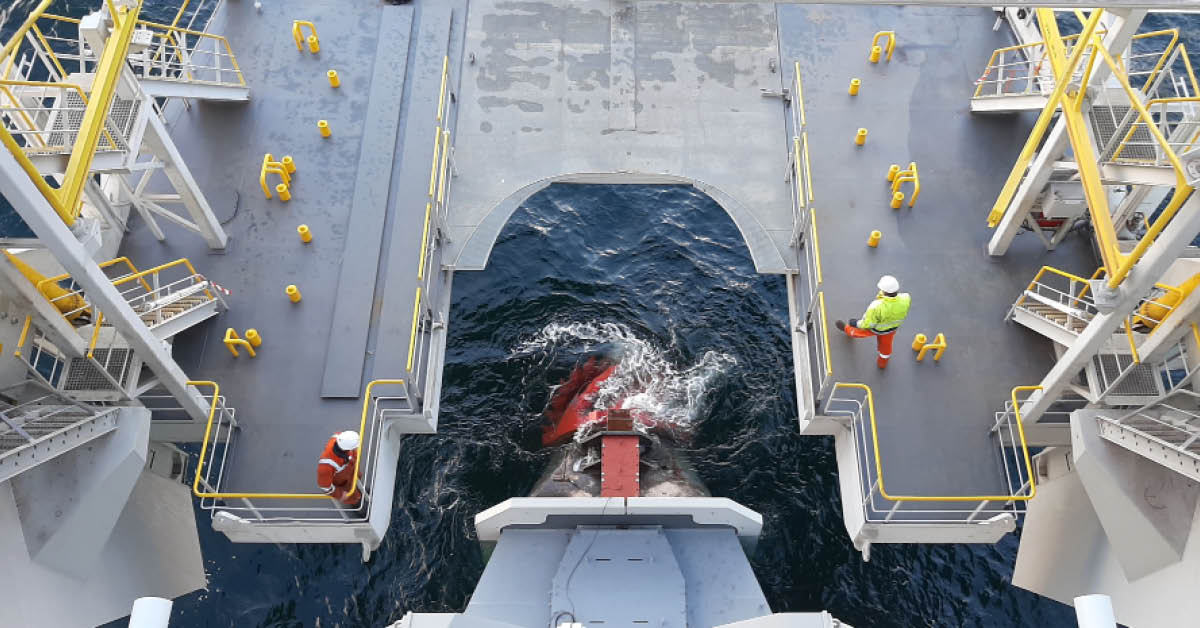jandenulgroup's tweet photo. #DNAdenul • Did you know that Willem van Rubroeck is not only one of our most powerful dredgers? It also refers to a famous Flemish monk. Willem van Rubroeck explored the world and pushed boundaries. The perfect name for a Jan De Nul vessel! 👌
•
#jandenul #JDNfleet https://t.co/55C7pzK64o