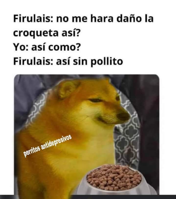 #SeAcaboElPuenteY el Firulais se pasa #MartesdeChistesCortos <a href="/YODEBUENAS/">Miguel Barrientos Mx</a> <a href="/YoAmoLa99/">AmoLa99 💙🎶📻 #YoAmoLa99</a> <a href="/Guirnalda18/">🦋👑 Princesa bendecida 👑🦋</a>