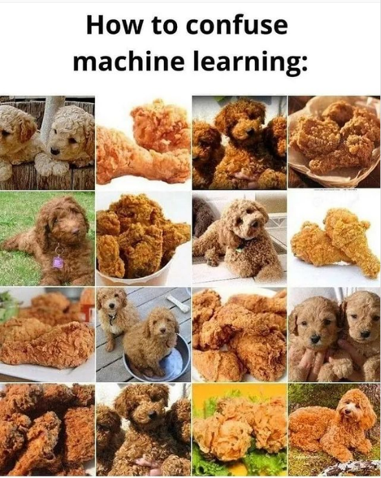 Vantino_Soft's tweet photo. 🔥😂😂😂

#technology #humor #machinelearning #memes https://t.co/uXRAKuXZM2