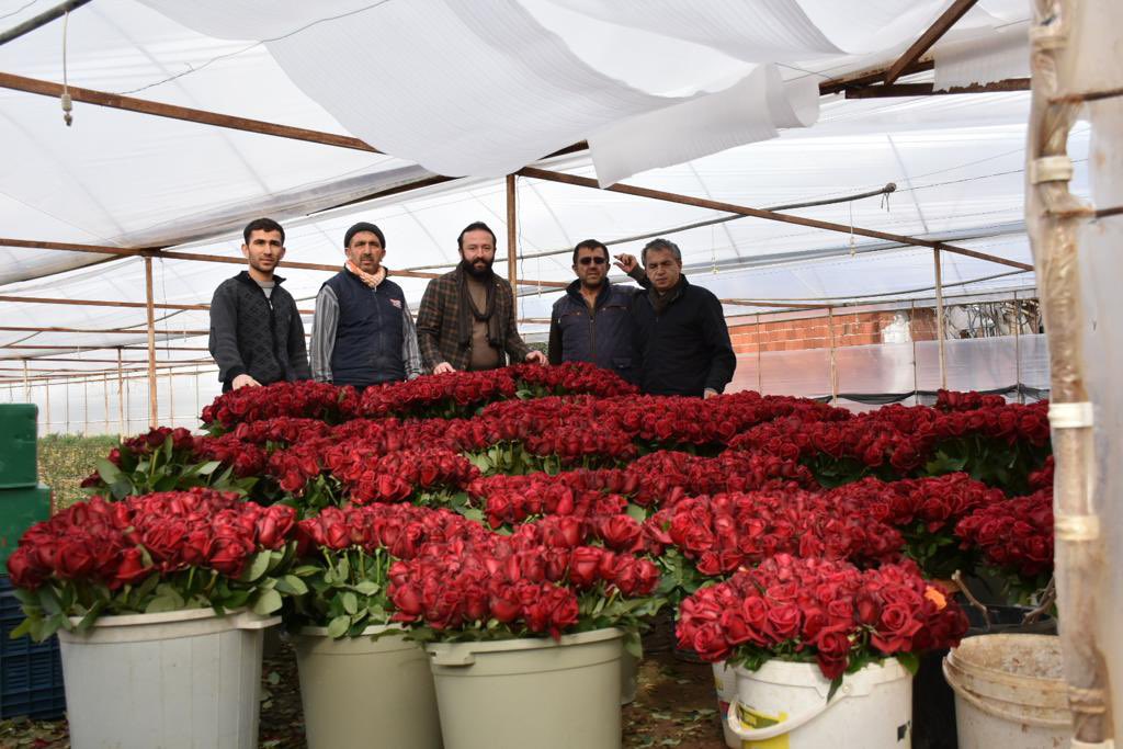 suleymanartci's tweet photo. Menderes’in üreten elleri sevgiye uzanıyor! 
14 Şubat Sevgililer Günü hazırlıklarını tamamlayan çiçek seralarını ziyaret ettik. Başta gül olmak üzere kesme çiçekte ülkenin yüzde 60 ihtiyacını karşılayan ilçemizde üreticimizin yüzü bu yıl da gülüyor.@bekirpakdemirli https://t.co/JieHReY8Xl