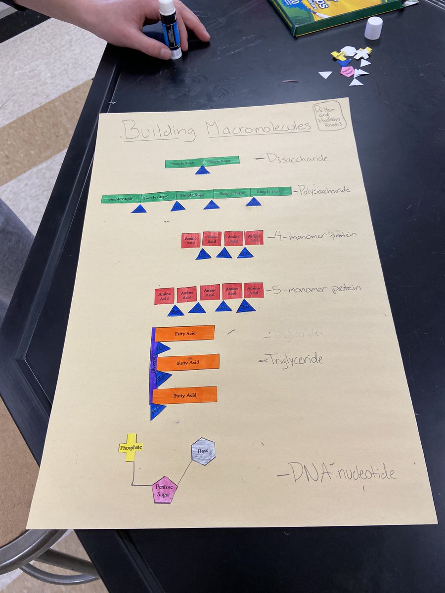 CyprianPungong's tweet photo. Hands-on approach to better understand the building blocks of life- Biomolecules. Kudos to these students @GHS_Indians @TCC_Lexington1 https://t.co/OskPGPtG71
