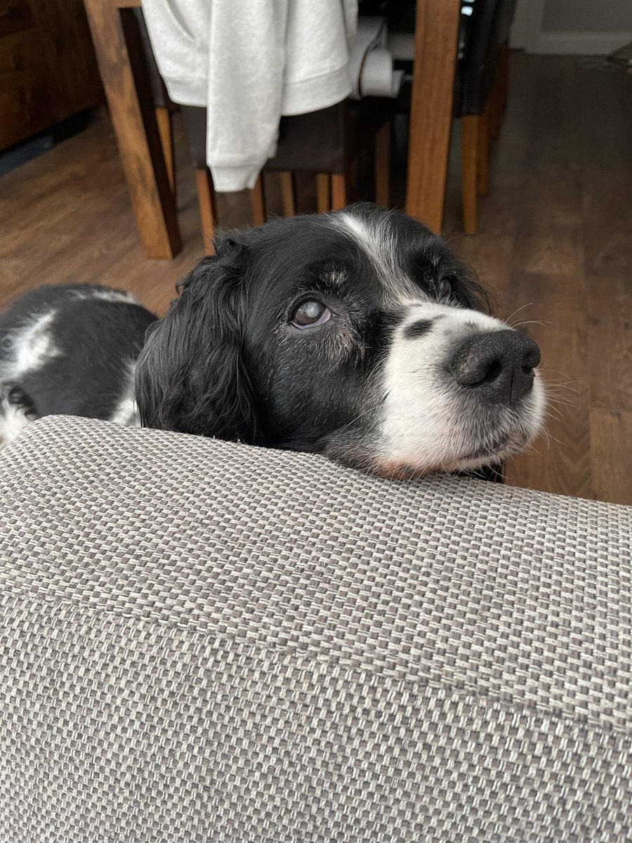 I’m here to discuss your cheese tax Hoodad 👮🏻‍♂️