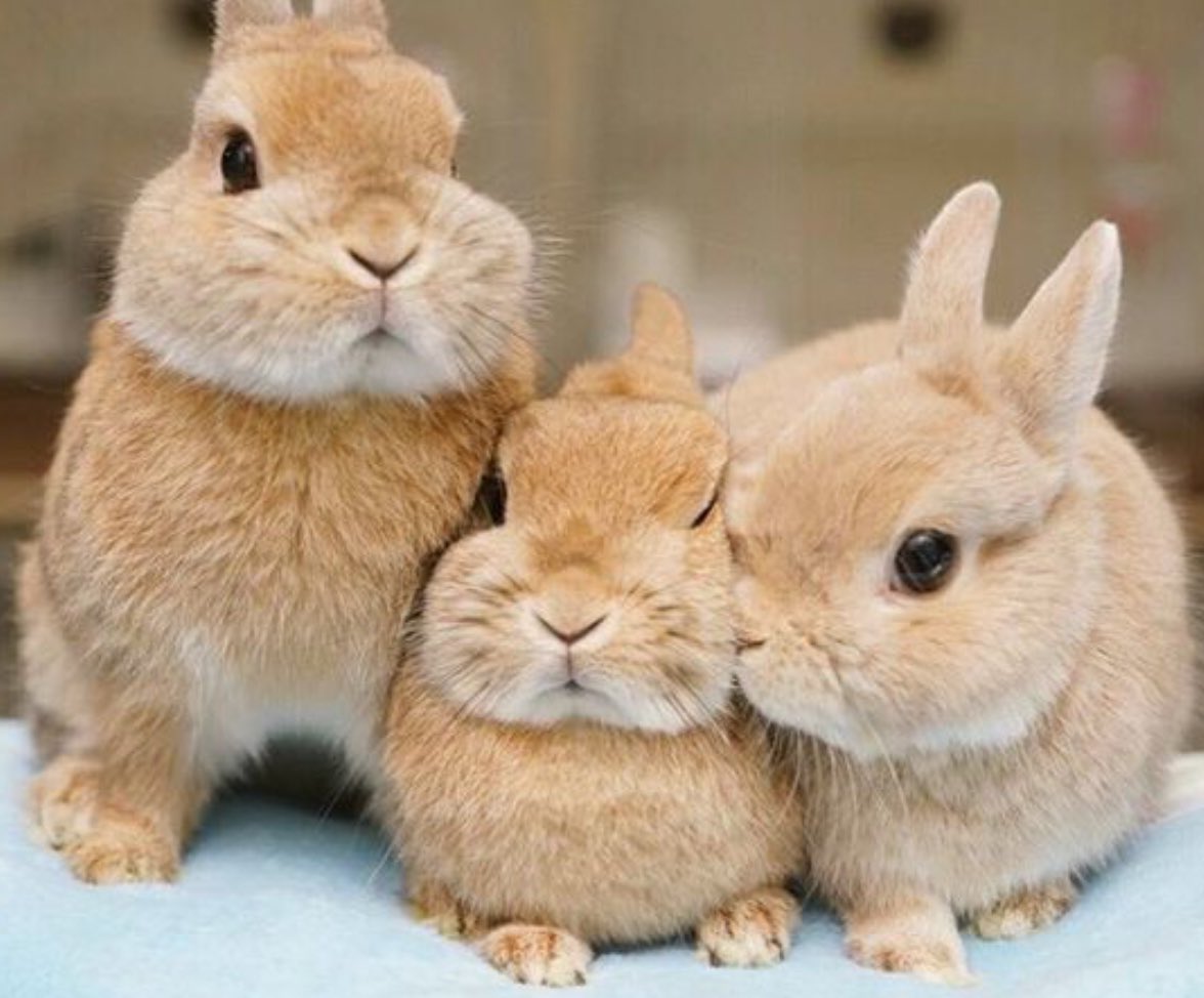 tiny__doyoung's tweet image. them❤️

#SUHnnyDay
#HAPPYJOHNNYDAY
#생일이라_서_행복하쟈니