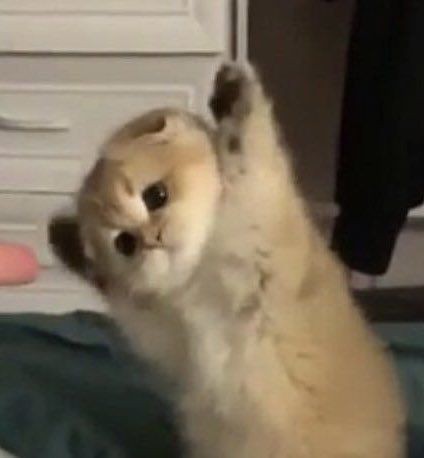 halllberry's tweet photo. zen day! 🎉 https://t.co/BQyZLqAi50