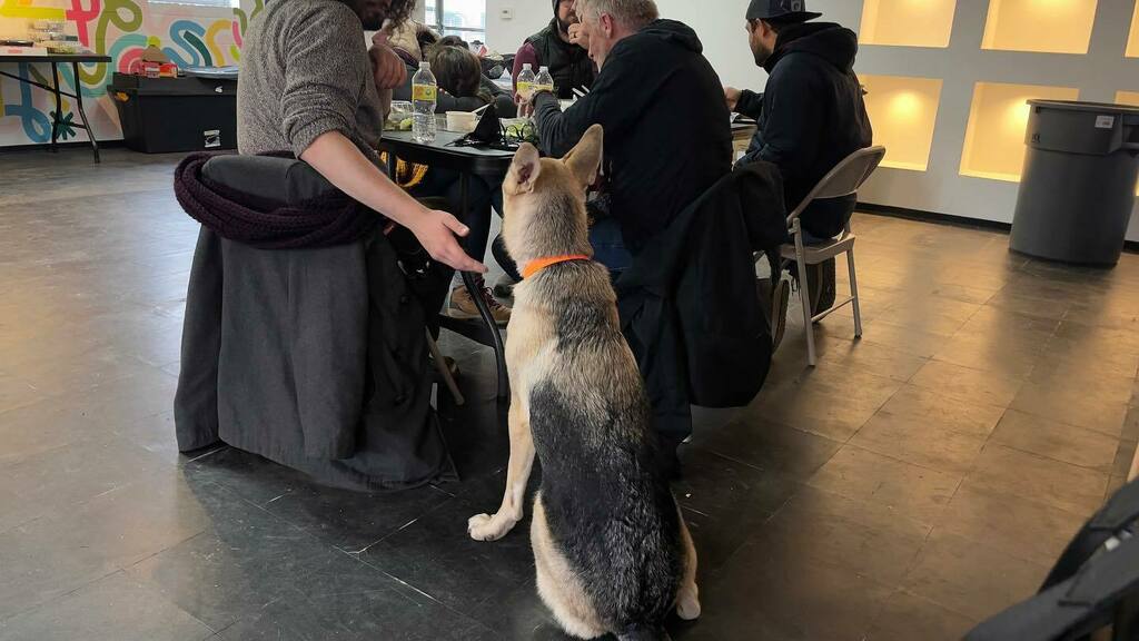 _MelissaArcher's tweet photo. Rex on set - givin everyone some lovin.
#SavedByGrace @pureflix #directorjohnnyremo #skipstonepictures #visitbentonville https://t.co/15eCFUEbLm https://t.co/VNZ2zGyK4J