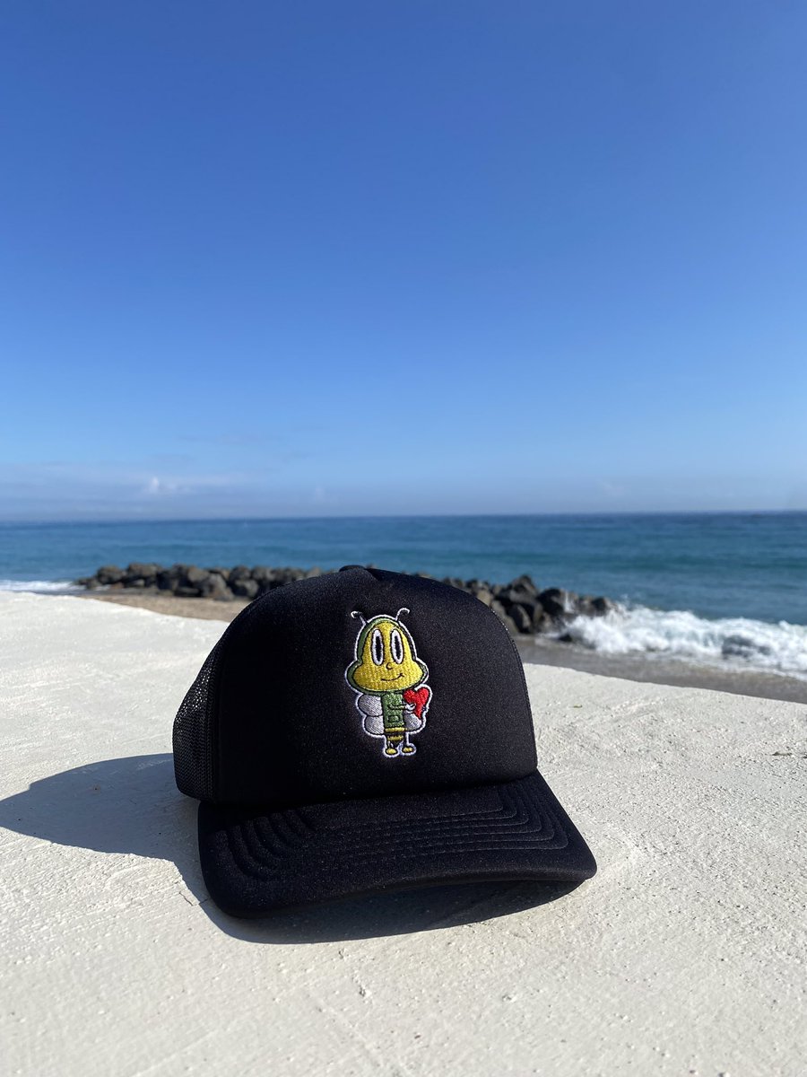 The Bee’s Earth tweet media
