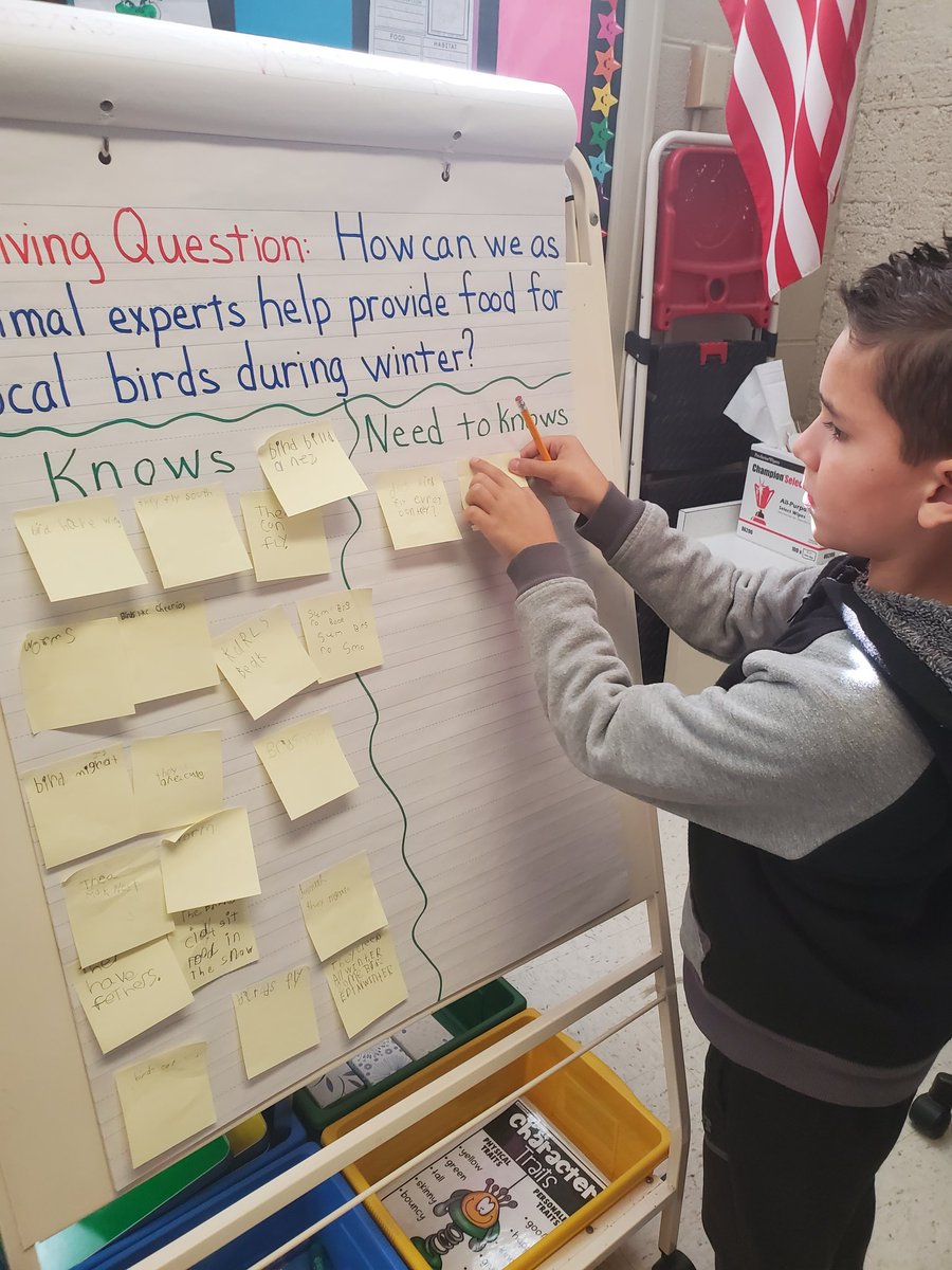 Holli_Sears's tweet photo. Students are discussing and writing knows and need to knows to drive their learning during the Hangry Birds PBL Unit in 2nd grade @NSDCentral! https://t.co/W8RsbkubWP