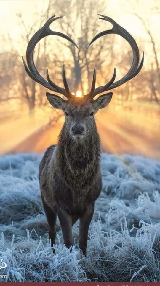 Wat een onwaarschijnlijk mooie foto.