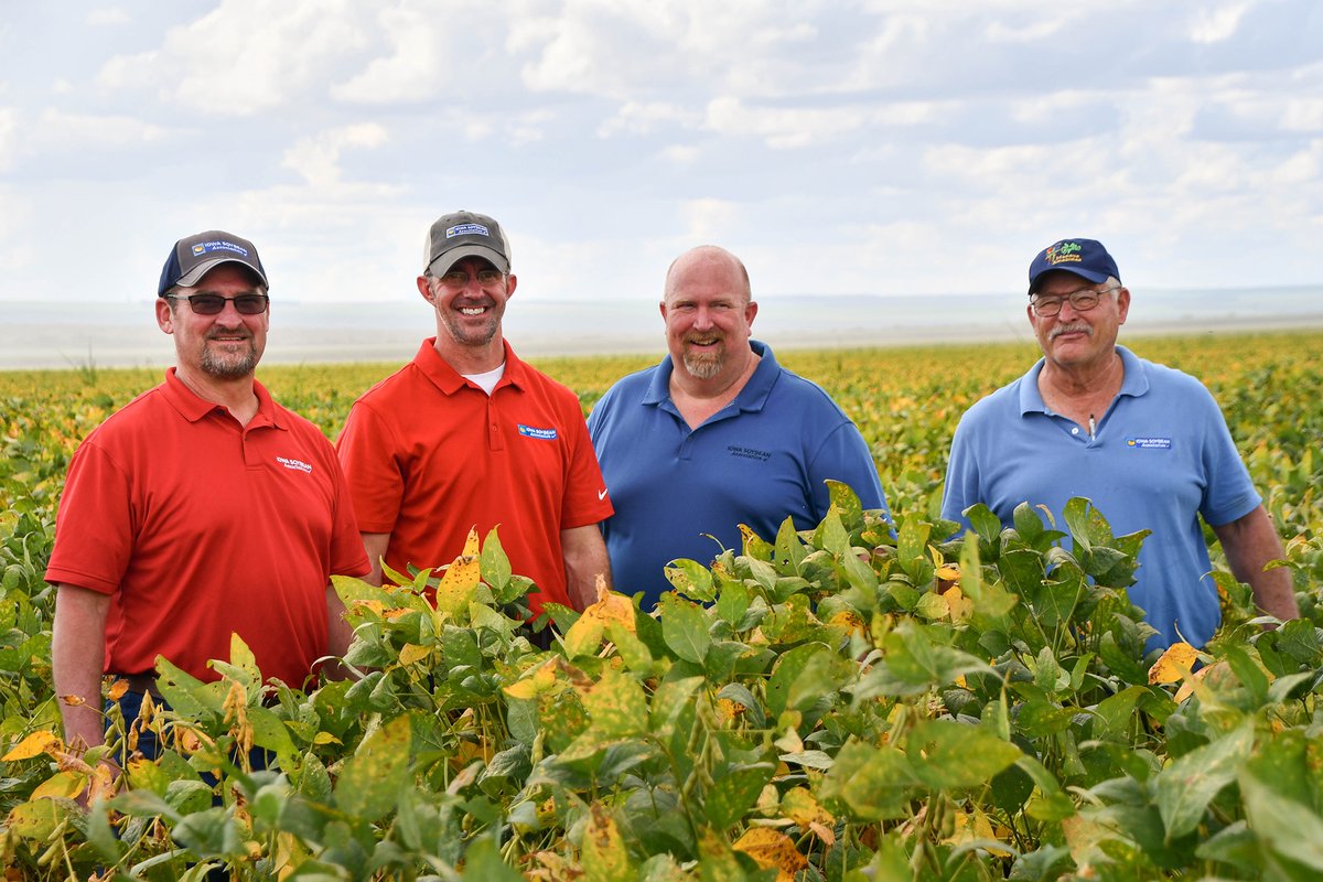 A delegation of ISA leaders are immersed this week in Brazilian #agriculture. Their time is devoted to seeing first-hand the quality and quantity of Brazil’s #soybean production output and potential and how it'll impact Iowa soybean farmers in the next 3-5 years.