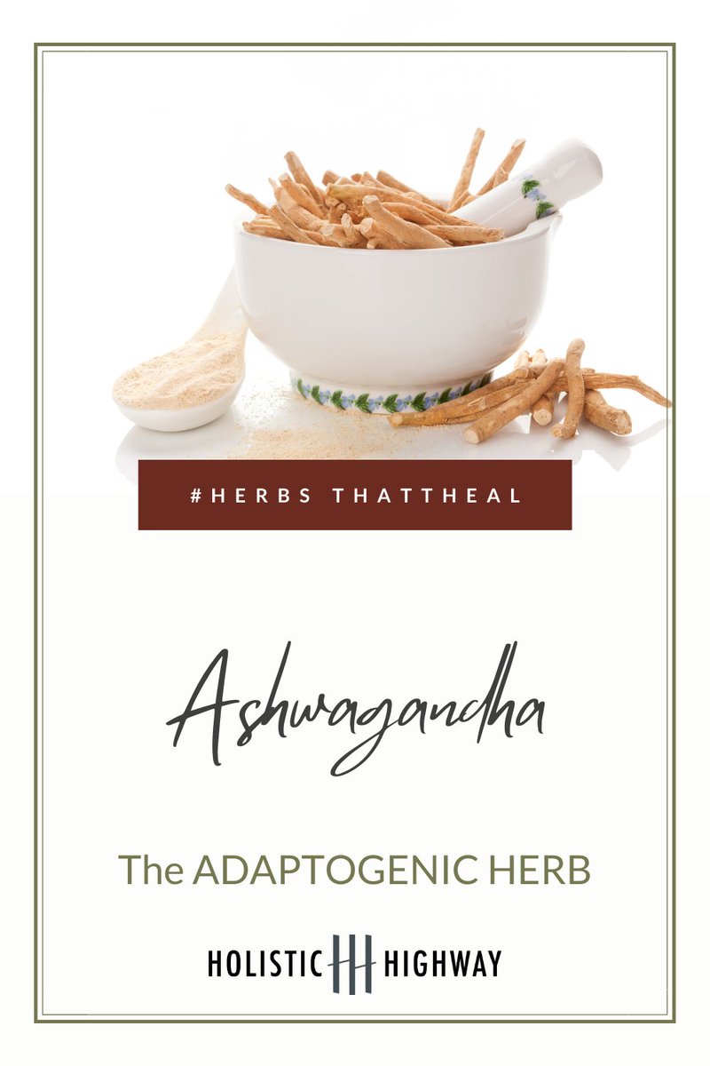 HolisticHighway's tweet image. Ashwagandha: a powerful medicinal herb that's an “adaptogen,” meaning that helps your body manage stress. Lowers blood sugar, reduces cortisol, boosts brain function and helps fight anxiety &amp;amp; depression.

More: 
theholistichighway.com/5-reasons-you-…

#feelgoodherbs #ayurveda #herbsthatheal