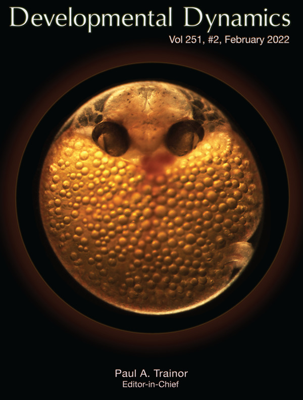 DevelopmentalDynamic (@developmentaldy) on Twitter photo The Art of Science - Cover of Developmental Dynamics
Photographed live in the womb, meet the developing Gambusia holbrooki, a live bearing fish model of vertebrate development. With thanks to Seyed Ehsan Mousavi and Jawahar Patil <a href="/UTAS_/">University of Tasmania</a> The Art of Science - Cover of Developmental Dynamics
Photographed live in the womb, meet the developing Gambusia holbrooki, a live bearing fish model of vertebrate development. With thanks to Seyed Ehsan Mousavi and Jawahar Patil <a href="/UTAS_/">University of Tasmania</a>