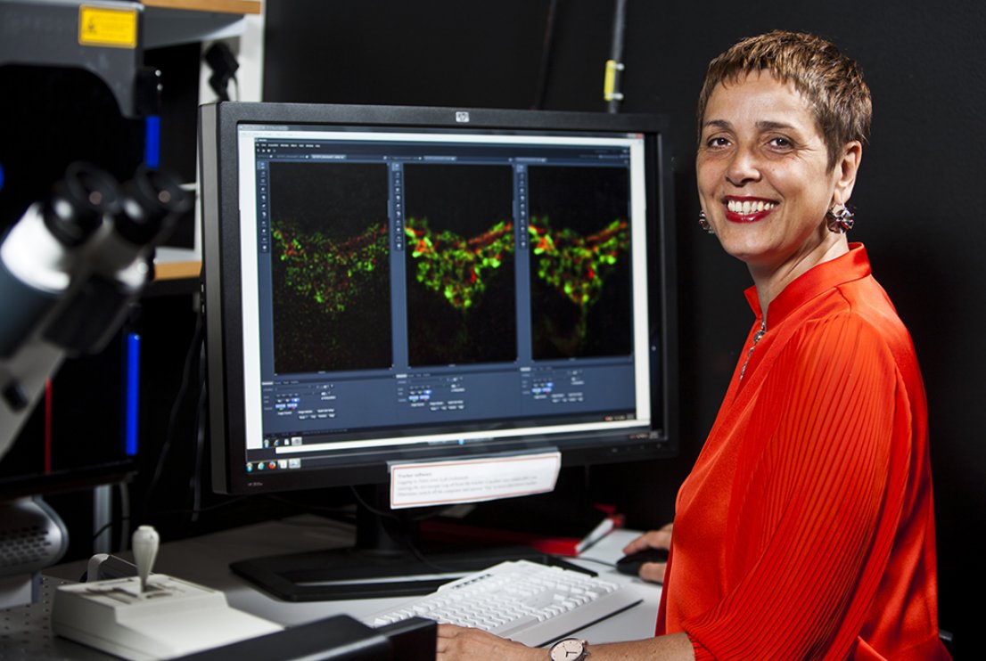 What are some of the challenges of building a national imaging community 🔬👩‍🔬? How does being organized as a national community – and <a href="/EuroBioImaging/">Euro-BioImaging ERIC</a> Node - pay off? 
<a href="/juliafrodri/">Julia Fernandez</a> of <a href="/CCI_GU_SE/">Centre for Cellular Imaging | Uni. of Gothenburg</a> shares parts of Swedish NMI's 🇸🇪experience in <a href="/iScience_CP/">iScience journal</a>⤵️
cell.com/iscience/fullt…