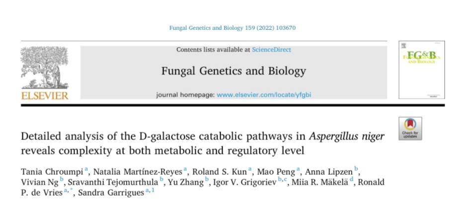 Happy to share a recently published paper from one of our group members at <a href="/iata_csic/">IATA CSIC</a> in collaboration with colleages at <a href="/_Westerdijk_/">Westerdijk Institute</a> about sugar catabolism in the filamentous fungus Aspergillus niger. Congratulations!
#fungi #CRISPR #metabolism 

sciencedirect.com/science/articl…