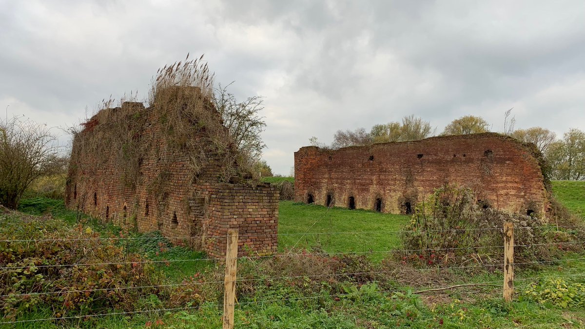 Henk Baas tweet media