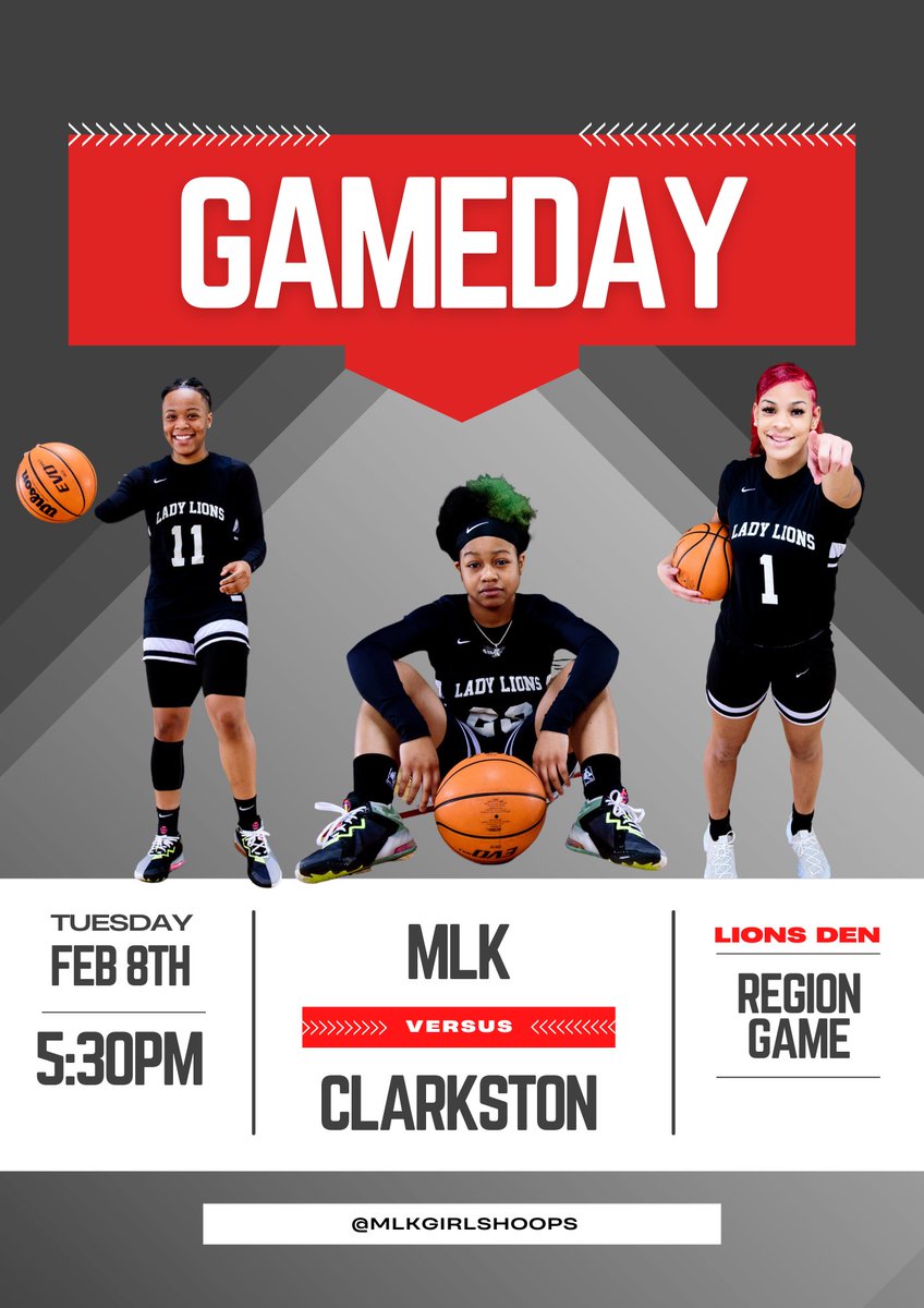 Lady 🦁🏀 tweet media