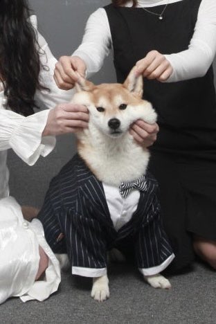 사진 찍을 때마다 고통받는 막내