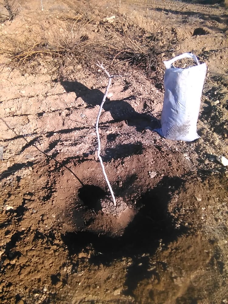 Tarımsal Danışmanlığın Yayınlanmayan Tebliğinin mağduriyetini 1200 Aile Maaşsız kalarak cefasını çekmektedirler 
1200 Aile gelirsizlik ve Yoksulluk ile Cebelleşmektedirler 
Sn. Yetkililerin bu konuda sessiz kalmayacaklarını umut ediyoruz 
<a href="/RTErdogan/">Recep Tayyip Erdoğan</a> <a href="/TCTarim/">T.C. Tarım ve Orman Bakanlığı</a>
#TARIMDANISMANIMAĞDUR