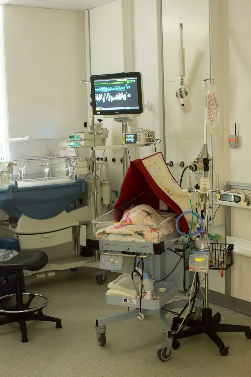 Bliss Baby Charity tweet media