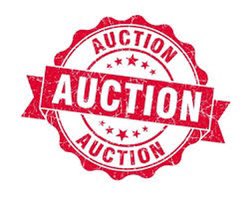 The SCSO will hold a public auction of multiple vehicles and equipment on 02-12-2022 at 10AM at 218 Parshley St, Live Oak, FL 32064.

For more information, please contact J.W. Hill and Associates at 386-362-3300.