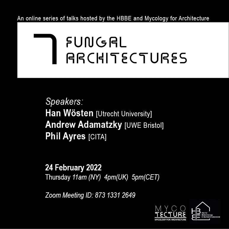 Mycology for Architecture tweet media