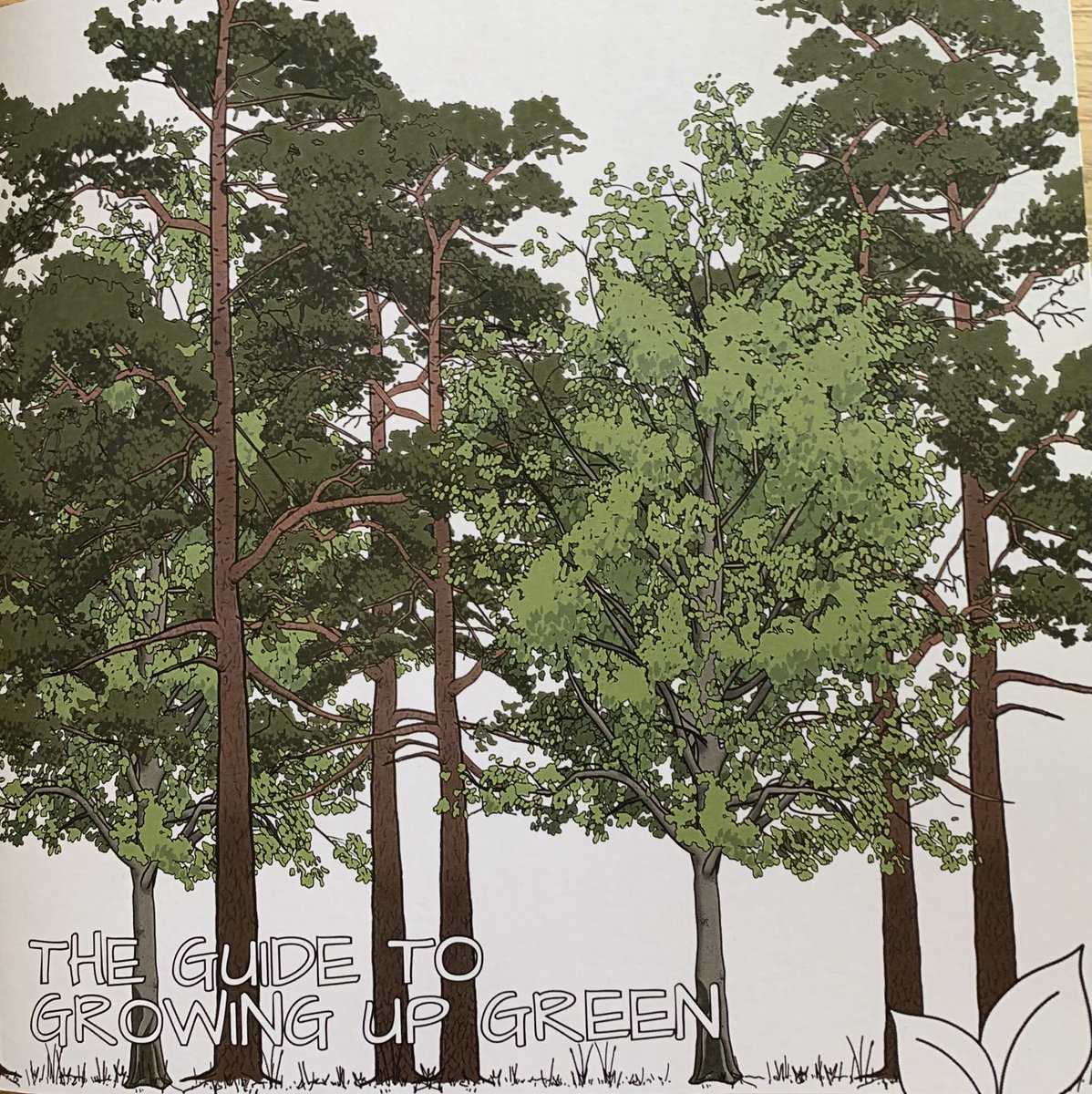 Hill Holt Wood tweet media
