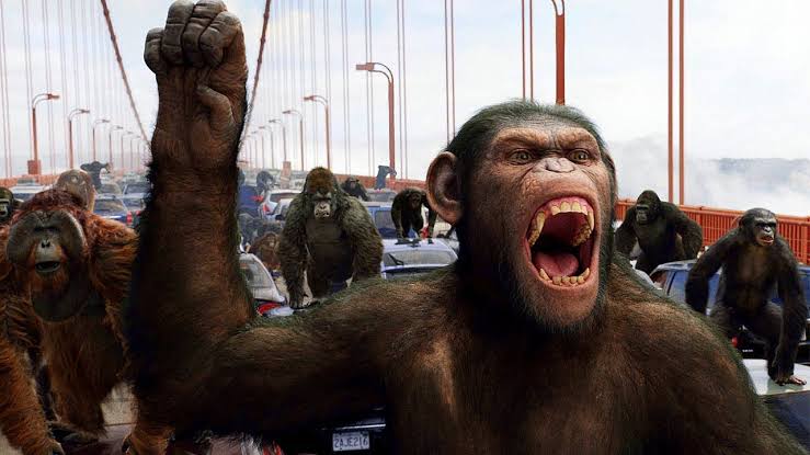 #HijabRow Rise of the planet of the apes (Sangie) ..#Sangi 
#KarnatakaHijabRow
Worst da...