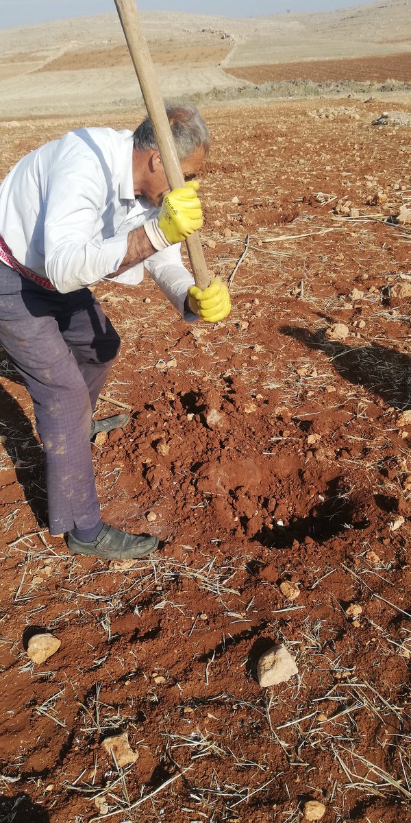 Tarımsal Danışmanlığın Yayınlanmayan Tebliğinin mağduriyetini 1200 Aile Maaşsız kalarak cefasını çekmektedirler 
1200 Aile gelirsizlik ve Yoksulluk ile Cebelleşmektedirler 
Sn. Yetkililerin bu konuda sessiz kalmayacaklarını umut ediyoruz 
<a href="/RTErdogan/">Recep Tayyip Erdoğan</a> <a href="/TCTarim/">T.C. Tarım ve Orman Bakanlığı</a>
#TARIMDANISMANIMAĞDUR