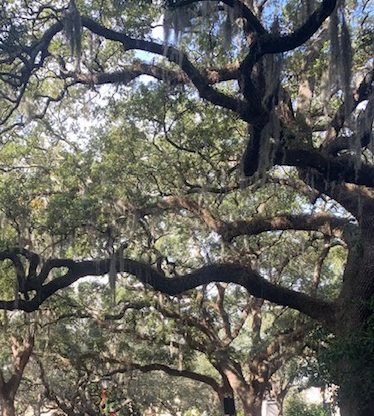 When I need a break I can take a quick stroll through the squares. One of the reasons I have 💕 #tmxcareerlove 
<a href="/TMXCompanies/">TMX Companies</a>