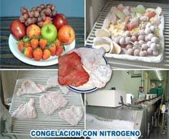 IvicServicios's tweet photo. El #nitrógenolíquido se usa para la
#refrigeración y #congelacióndealimentos, es el
método más rápido de congelación individual de
alimentos.
#usosdelnitrogeno #alimentosbienrefrigerados
#conservaconnitrogenoliquido https://t.co/DHAnNaTDVx