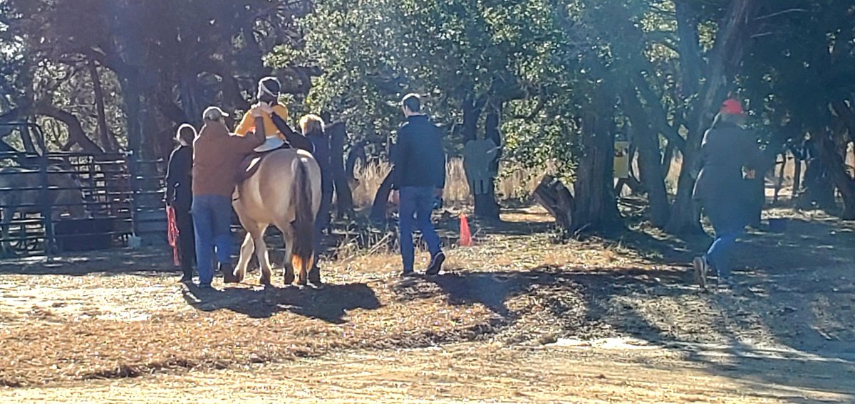 pskiddy's tweet photo. Back in the saddle again. https://t.co/rcSNHVVl8M