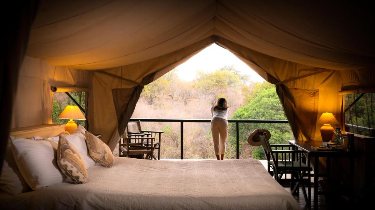 BafaSafaris's tweet photo. Sekenani Camp offers an authentic bush experience for visitors wishing to get close to nature. Set at the source of Sekenani River, the camp offers a serene environment in which to relax and enjoy all the Mara has to offer
Call/WhatsApp us for more info &amp; prices Via
📞 0758502714 https://t.co/K5Tjxoecta