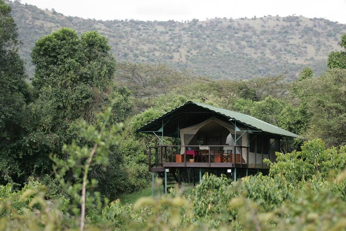 BafaSafaris's tweet photo. Sekenani Camp offers an authentic bush experience for visitors wishing to get close to nature. Set at the source of Sekenani River, the camp offers a serene environment in which to relax and enjoy all the Mara has to offer
Call/WhatsApp us for more info &amp; prices Via
📞 0758502714 https://t.co/K5Tjxoecta