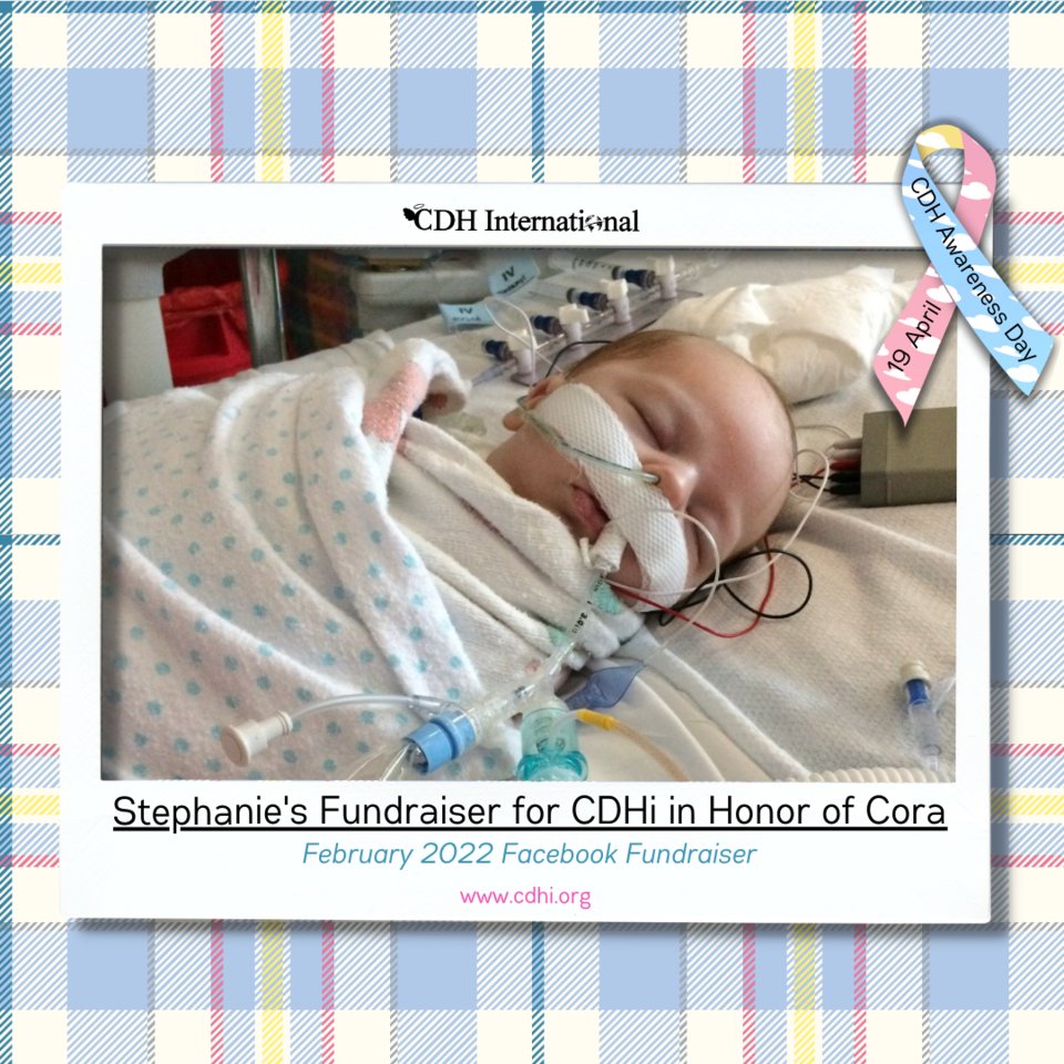 cdhintl's tweet photo. Stephanie's Birthday Fundraiser in honor of Cora

Read more at https://t.co/XnfHchYtij

Donate at https://t.co/94MFtNEtlI

#cdhawareness #cdhi #cdhintl #cdhinternational #cdhresearch #cdhsupport #patientadvocacy #cdhcharity #cdhsupportgroup #cdhsupportcharity #cdhhelp https://t.co/Qp3Z06DRqI