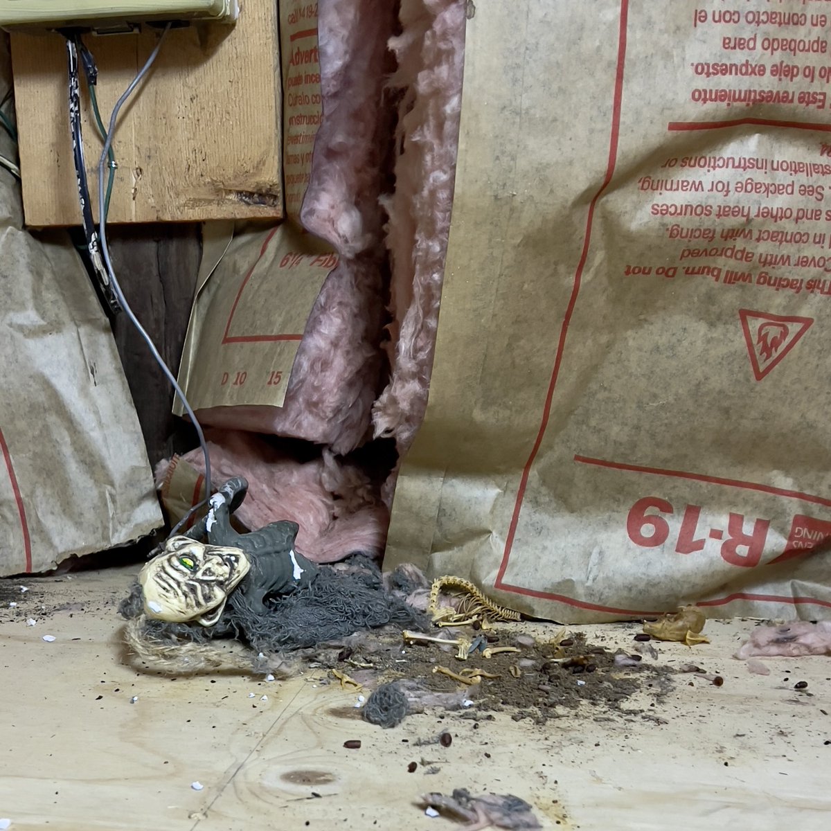 sbrand's tweet photo. Moved some boxes in the attic to fix some sagging insulation in our house built in 1741, and came across this. Now 20 y/o son says this toy was left from his ‘haunted house’ play days but to me looks like a rodent or two lost an epic battle.  @StephenKing all yours from here… https://t.co/NJYuljPPFY
