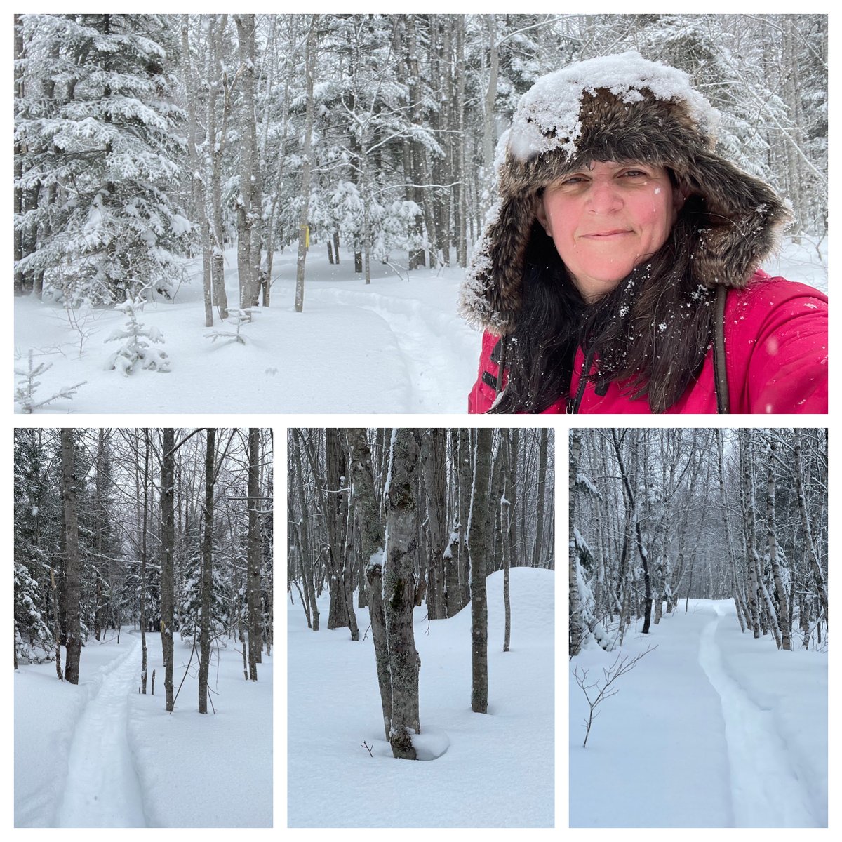 Rachel Schofield tweet media