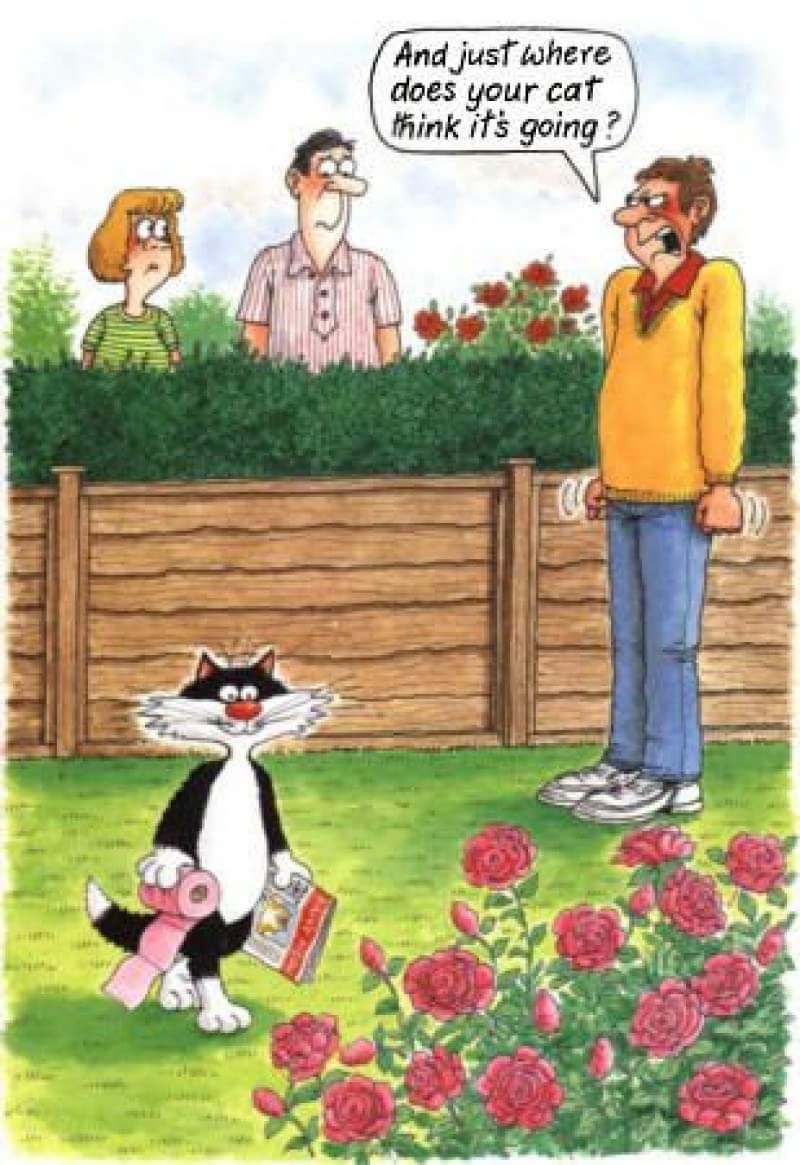 Sandra Holtzkampf (@suzieqt4) on Twitter photo 