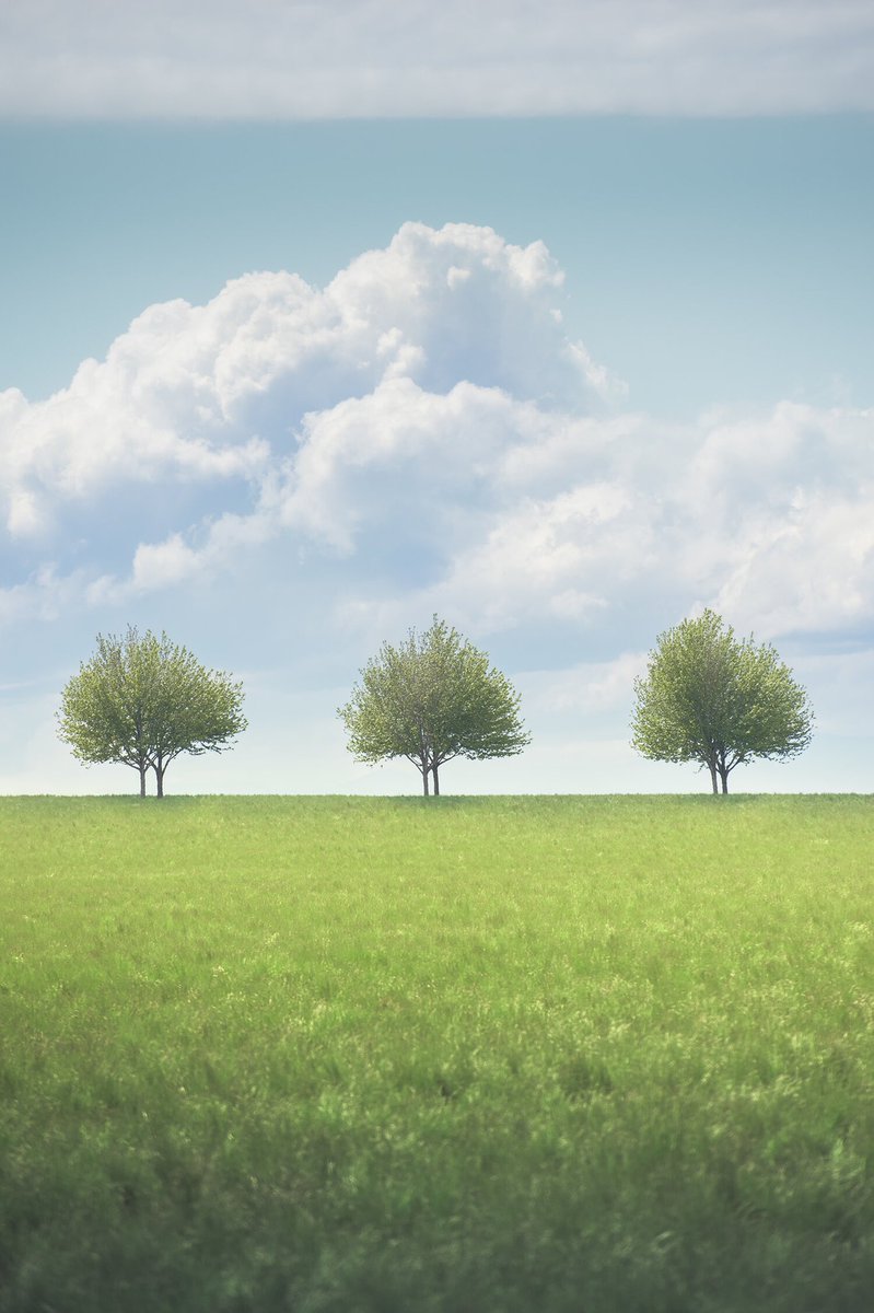 awayiflew's tweet photo. Gm

Day dreaming in spring and summer 

🥰 https://t.co/PMmfuR3Pcb