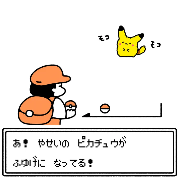 野生のピカチュウ 