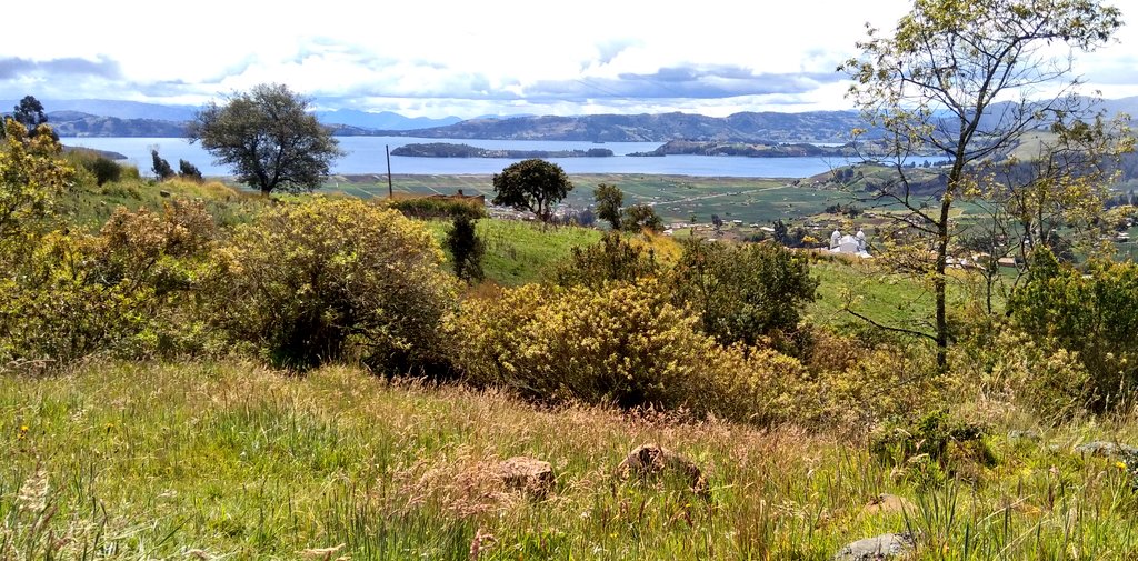 Las decisiones informadas de los gobiernos locales, serán la base de soluciones
para transitar hacia una movilidad sostenible y matriz energética más limpia en
Colombia. El país avanza en la descarbonización. El cambio climático exige respuestas ¡ahora!. #HagámosloReal 🌎